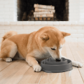outward-hound-fun-feeder-slo-bowl-grey___1.png