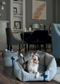 Legowisko dla psa i kota Glamour Silver Oh Charlie
