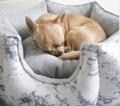 Legowisko dla psa i kota Marble White Oh Charlie