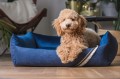Allure_bed_navyblue.jpg