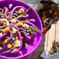 Miska spowalniająca jedzenie Outward Hound Fun Feeder Slo-Bowl Purple  z jedzeniem