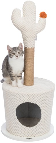 originals_PHO_PRO_CAT_CLIP_PHO_PRO_CAT_CLIP_44414-1_#SALL_#AWK_#V1.jpg