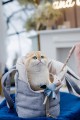 Florence_travelbag_grey1.jpg