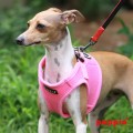 puppia-soft-harness-vest-b-pink-on-dog.jpg