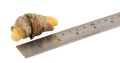 przysmaki-dla-psa-fish4dogs-sweet-ocean-wraps4-1.jpg