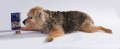 przysmaki-dla-psa-fish4dogs-sweet-ocean-wraps.jpg