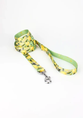 smycz_miejska_dla_psa_signora_limone_dogsprofit-1__preview.webp