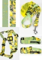 signora_limone_dogsprofit-1__preview.webp