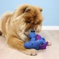kong_woozles_blue2.jpg