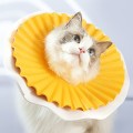 Piankowy kołnierz ochronny dla kota i małego psa Elizabeth zolty.jpg