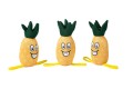 Freedog Zabawka dla psa do wody Ananas.jpg
