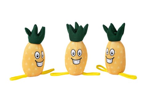 Freedog Zabawka dla psa do wody Ananas.jpg