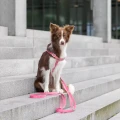Przepinana smycz dla psa BLOOM różowa.webp