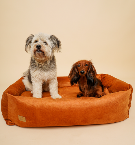 Legowisko ortopedyczne dla psa SONO Welur Wodoodporny KONIAK BeBobi