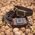 Zestaw-spacerowy-Bura--obroza,-smycz-i-saszetka-w-kolorze-ciemny-braz.webp