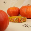 Obroza-na-sprzaczke-Biothane-z-nadrukiem-dyni-na-musztardowym-tle,-aranzacja-halloweenowa-z-dyniami-i-pajakiem.webp