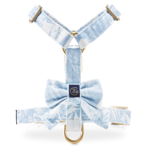 Lumiere_harnesses_Guard_blue.jpg