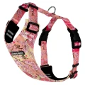 pro-fit-sakura__preview.webp