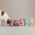 Karma sucha tłoczona na zimno perro