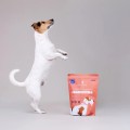 perro-gourmet-jagniecina-karma-tloczona-na-zimno-dla-psa-1kg (2).jpg