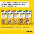 ADTAB-Dog-Tabletka-na-pchly-i-kleszcze (10).jpg