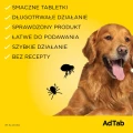 ADTAB-Dog-Tabletka-na-pchly-i-kleszcze (14).jpg