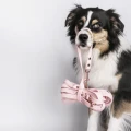 Linka-dla-psa-pastelowy-roz--idealna-na-spacer-i-trening.webp