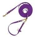 Fioletowa-linka-treningowa-dla-psa-z-tasmy-HEXA.webp