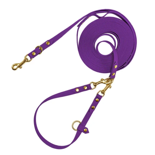 Fioletowa-linka-treningowa-dla-psa-z-tasmy-HEXA.webp