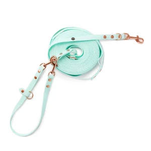 Linka treningowa dla psa HEXA mięta BURA wodoodporna