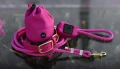smycz-miejska-linowa-puppy-pink-zestaw-bura.jpg