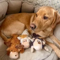 cozie-trio-2.jpg