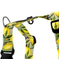 szelki_guard_signora_limone_04_n__preview.jpg