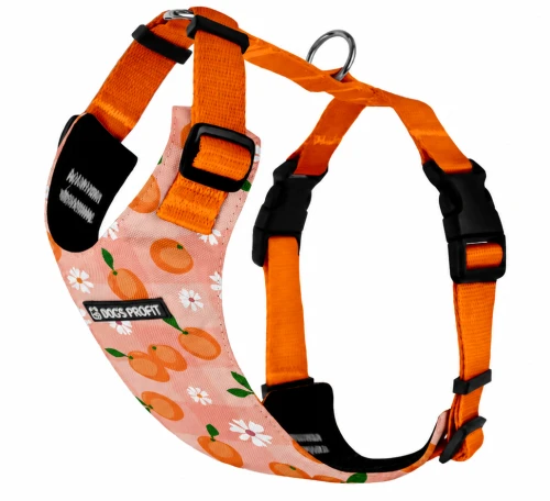 Szelki bezuciskowe dla psa PRO-FIT™ Trelemorele Dog's Profit