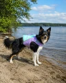Kamizelka ratunkowa / kapok dla psa Dive TrueLove liliowy – bezpieczny kapok do pływania border collie