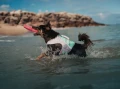 kapok dive liliowy.png