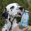 SMOOTHIE-DOG-Pool-Pawty-krolik-z-warzywami-i-owocami-250ml_[5045]_1200.jpg