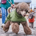 hurtta-mudventure-coat-eco-kurtka-dla-psa-forest-detal.jpg