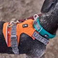 hurtta-rover-collar-obroza-dla-psa-peacock-model.jpg