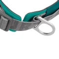 hurtta-rover-collar-obroza-dla-psa-peacock-prezentacja.jpg