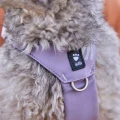 hurtta-seeker-harness-szelki-dla-psa-lavender-prezentacja.jpg