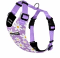 Szelki bezuciskowe dla psa PRO-FIT™ Daisy purple Dog's Profit