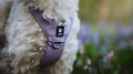 hurtta_ss26_testimonial_seeker_harness_05.webp