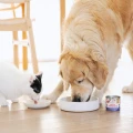 perroland_soups_wolowina1.png