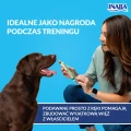pol_pl_INABA-Dog-Churu-fish-based-Tuna-Recipe-4x14g-56g-93746_6.webp
