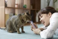 inaba-pets-inaba-juicy-bites-fish-clam-flavor-30301694328994.jpg