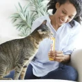 b7f1a46f-0c0d-4eec-b91d-e56e1ec28124_i-inaba-cat-churu-puree-z-tunczykiem-i-serem-4x14g.webp