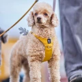 hurttaseekerharness_honey_ss26_13.jpg