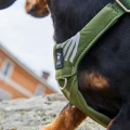hurttaseekerharness_forest_ss26_18.jpg