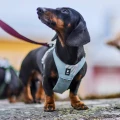 hurttaseekerharness_stream_ss26_12.jpg
